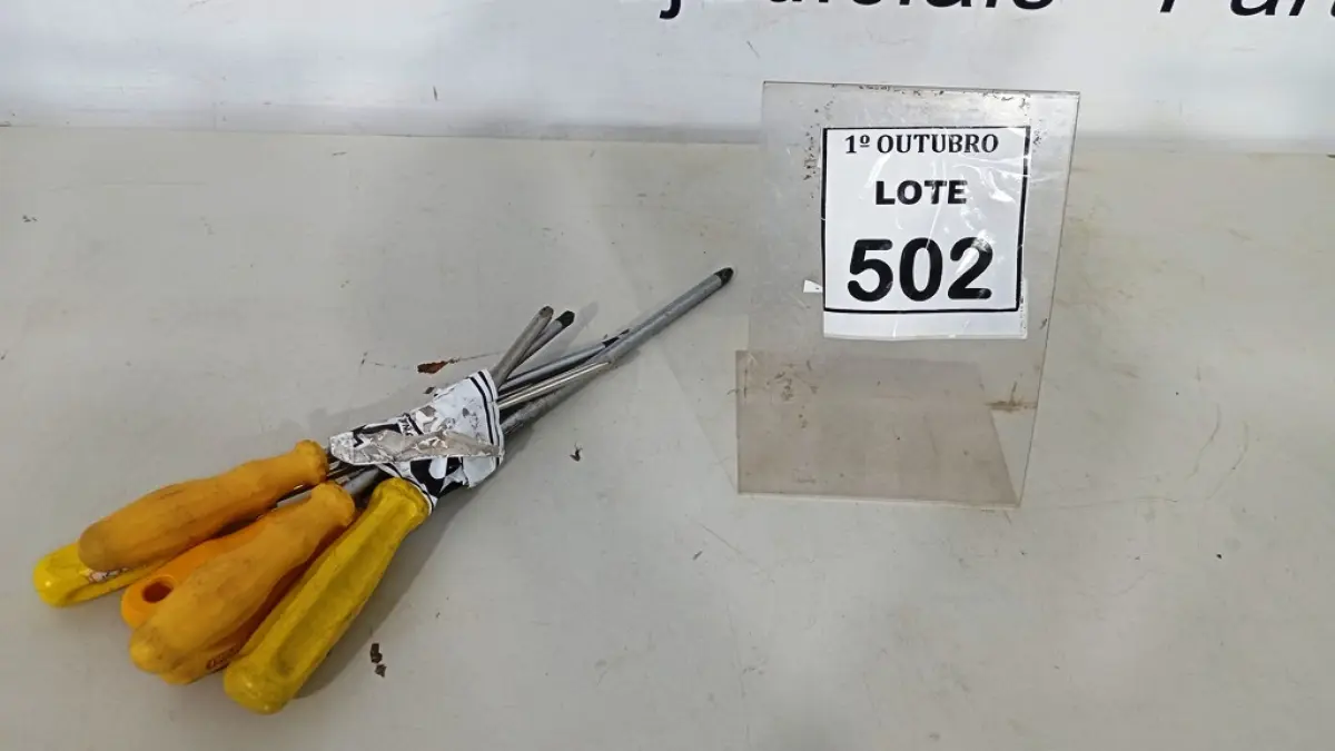 LOTE 502