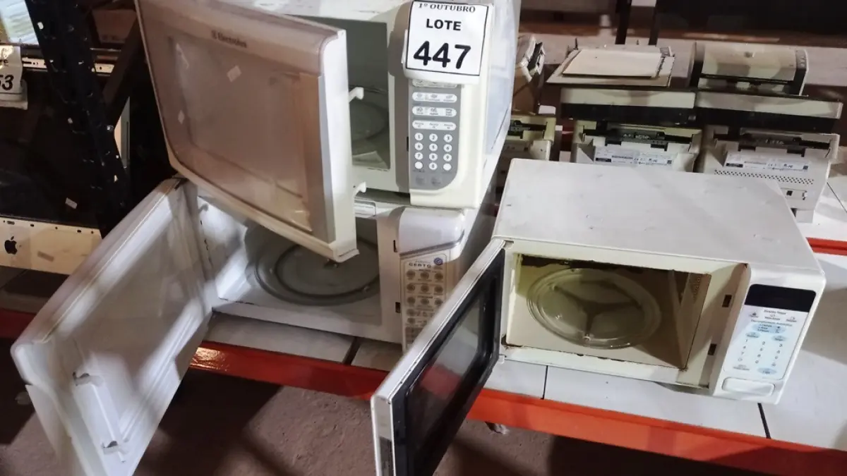 LOTE 447