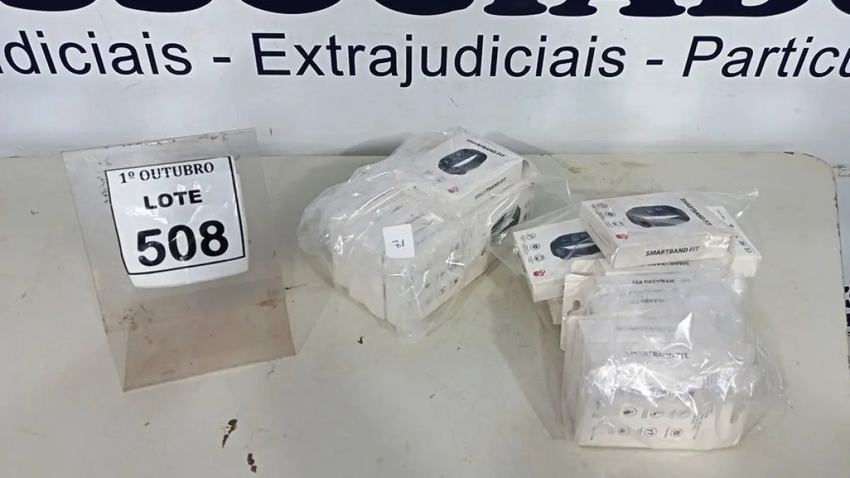 LOTE 508