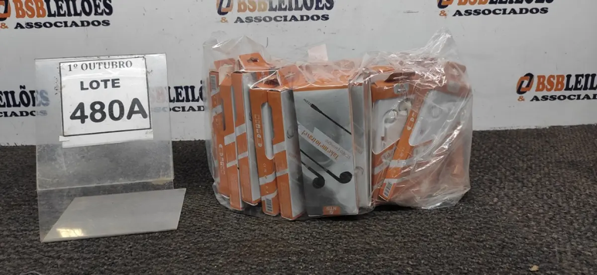 LOTE 480