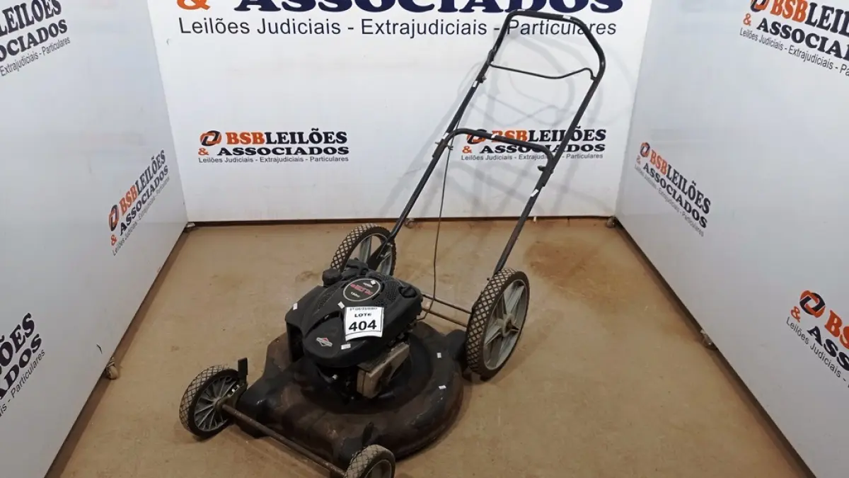 LOTE 404