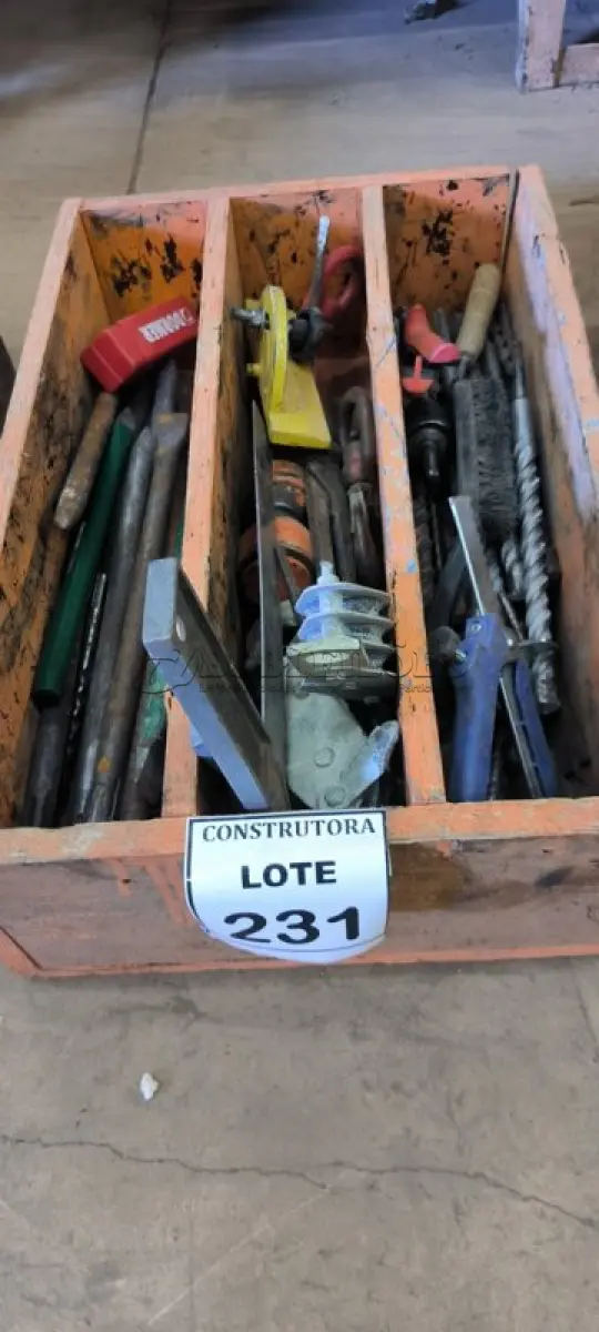 LOTE 231