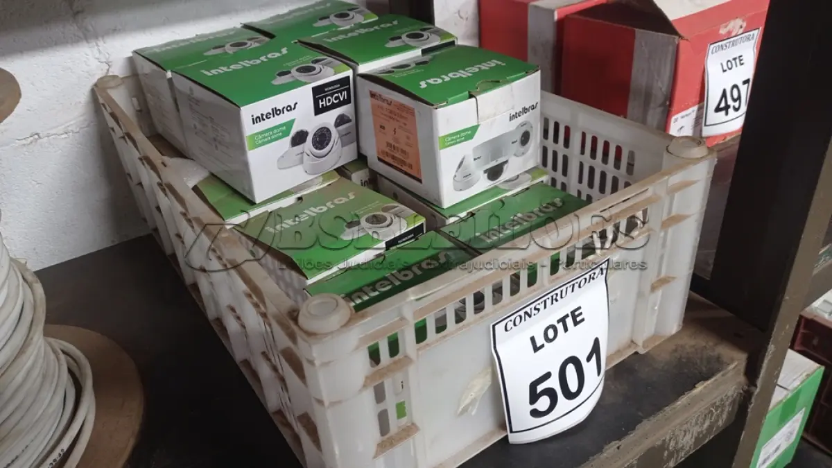 LOTE 501