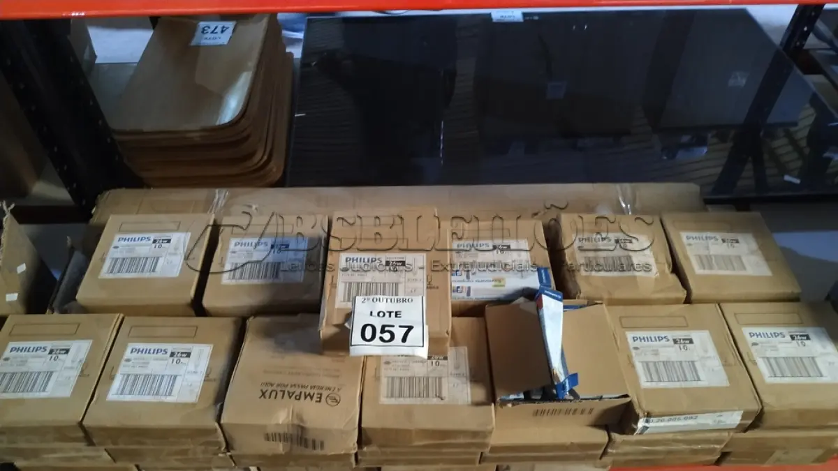 LOTE 057 - 01 LOTE COM GRANDE QUANTIDADE DE LÂMPADAS FLUORESCENTES DE MARCAS E MODELOS DIVERSOS. (NO ESTADO) ATENÇÃO! FAZER A VISITAÇÃO ANTES DE ARREMATAR, NÃO SABEMOS SE FUNCIONA, LEILÃO NÃO TEM GARANTIA E NEM DEVOLUÇÃO, SUJEITO A POSSÍVEIS AVARIAS VISÍVEIS/OCULTAS E/OU AUSÊNCIA DE COMPONENTES.