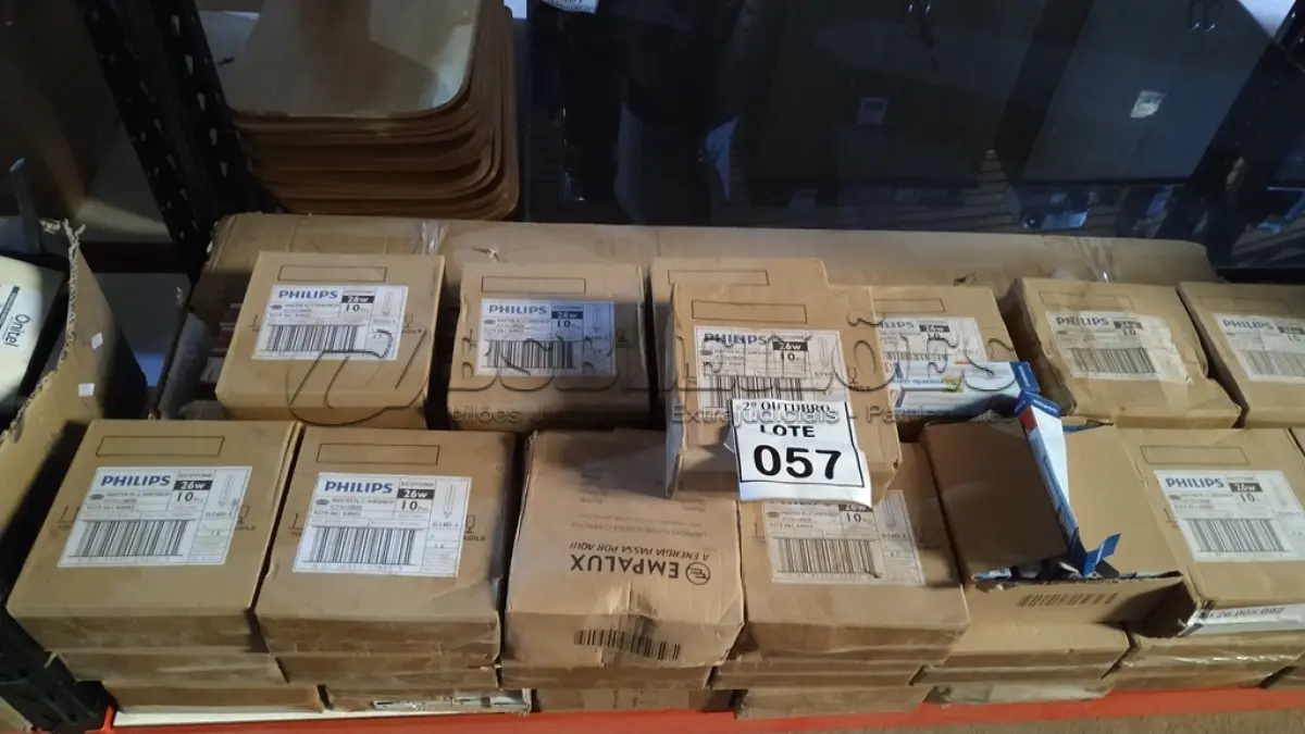 LOTE 057 - 01 LOTE COM GRANDE QUANTIDADE DE LÂMPADAS FLUORESCENTES DE MARCAS E MODELOS DIVERSOS. (NO ESTADO) ATENÇÃO! FAZER A VISITAÇÃO ANTES DE ARREMATAR, NÃO SABEMOS SE FUNCIONA, LEILÃO NÃO TEM GARANTIA E NEM DEVOLUÇÃO, SUJEITO A POSSÍVEIS AVARIAS VISÍVEIS/OCULTAS E/OU AUSÊNCIA DE COMPONENTES.