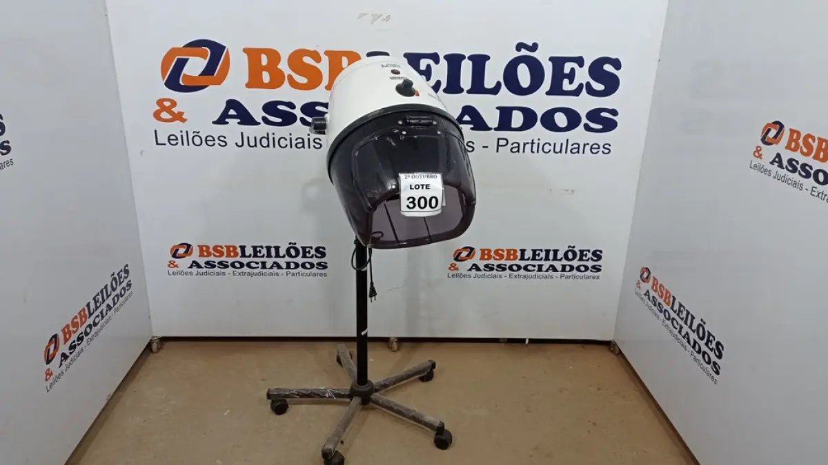 LOTE 300