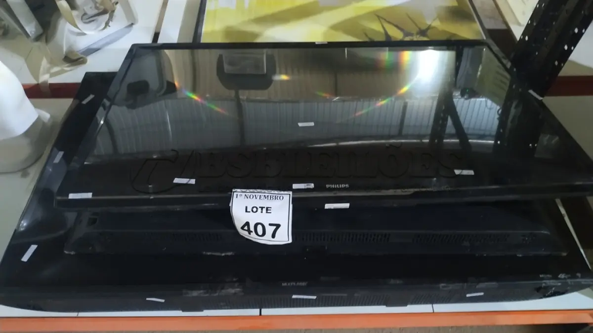 LOTE 407
