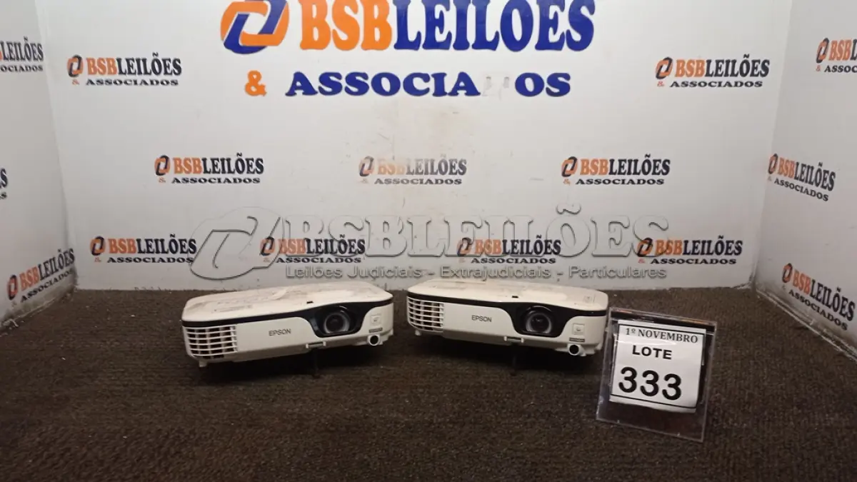 LOTE 333