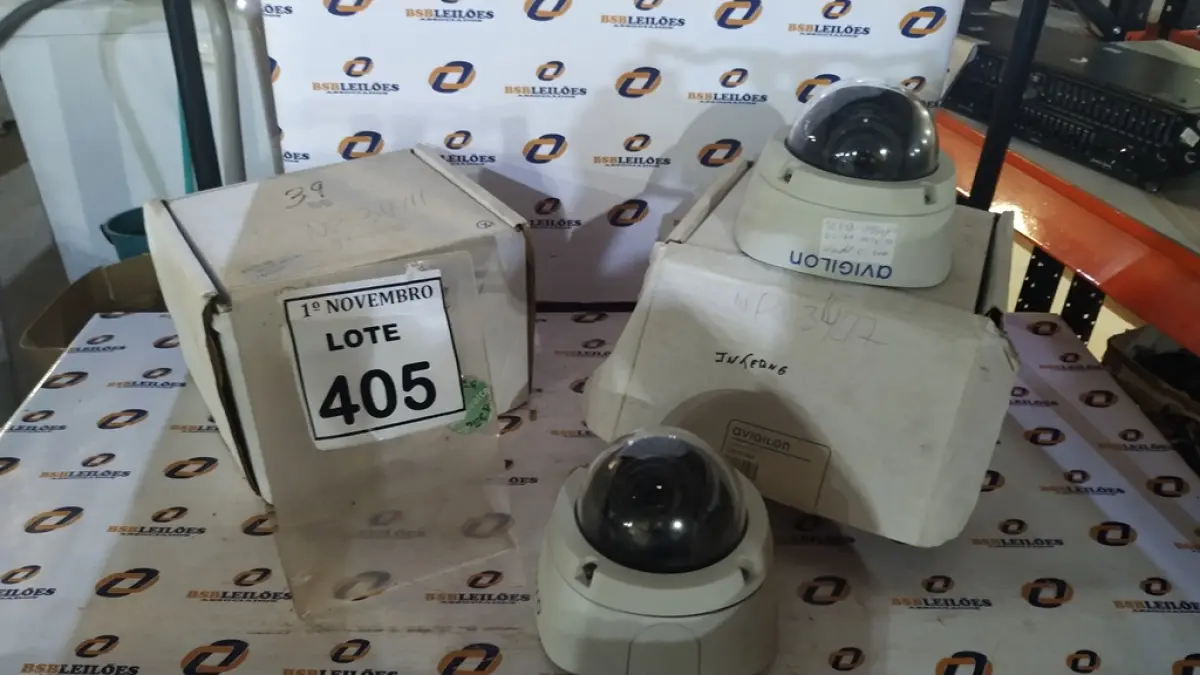 LOTE 405
