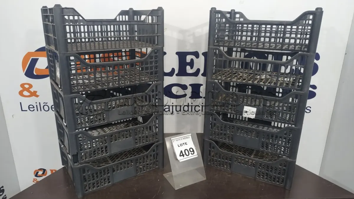 LOTE 409