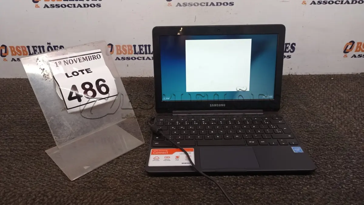 LOTE 486