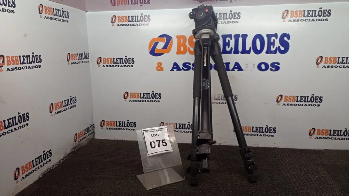 LOTE 075