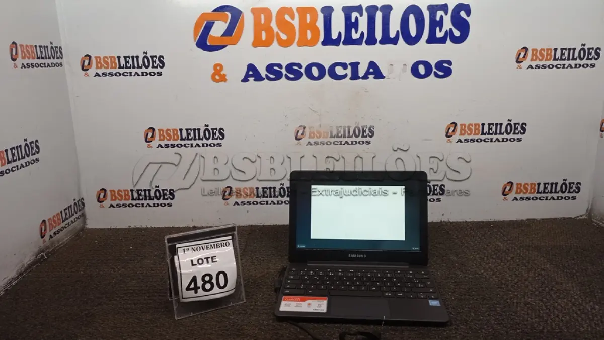 LOTE 480