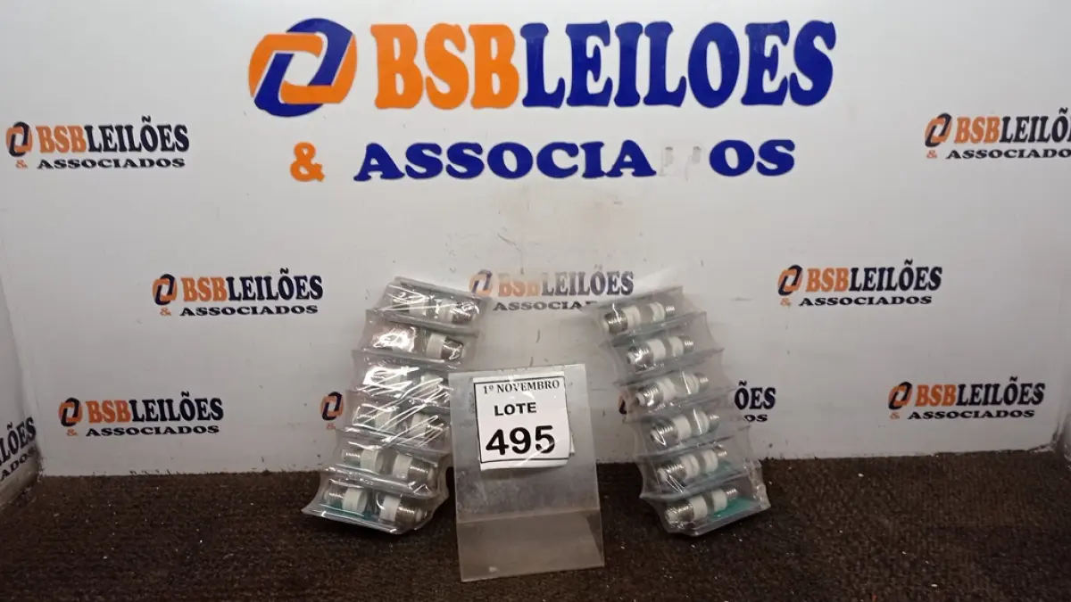LOTE 495
