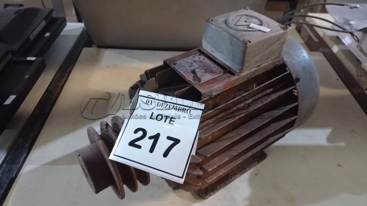 LOTE 217 - 01 MOTOR ELÉTRICO INDUSTRIAL. (NO ESTADO) ATENÇÃO! FAZER A VISITAÇÃO ANTES DE ARREMATAR, NÃO SABEMOS SE FUNCIONA, LEILÃO NÃO TEM GARANTIA E NEM DEVOLUÇÃO, SUJEITO A POSSÍVEIS AVARIAS VISÍVEIS/OCULTAS E/OU AUSÊNCIA DE COMPONENTES.