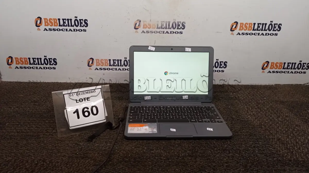 LOTE 160