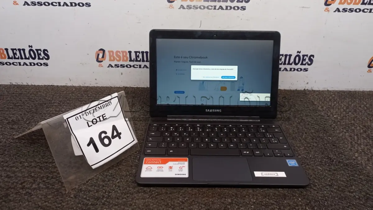 LOTE 164