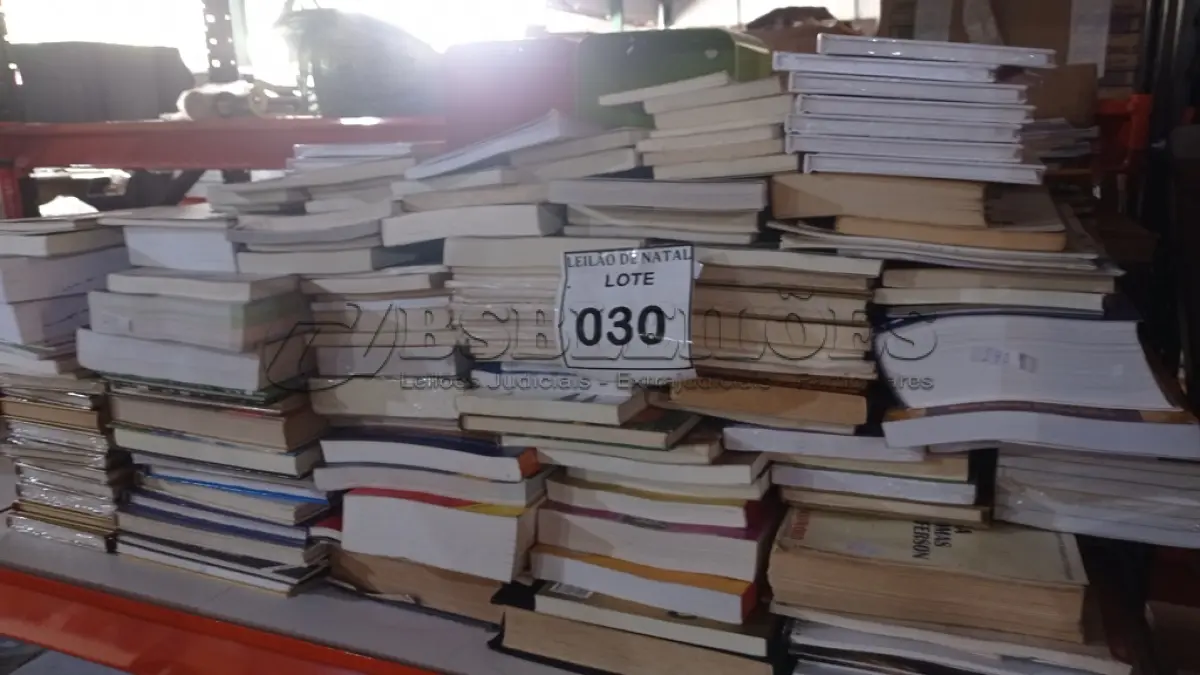 LOTE 030 - 01 LOTE COM GRANDE QUANTIDADE DE LIVROS E 02 PRATELEIRAS ORGANIZADORA. (NO ESTADO) ATENÇÃO! FAZER A VISITAÇÃO ANTES DE ARREMATAR, NÃO SABEMOS SE FUNCIONA, LEILÃO NÃO TEM GARANTIA E NEM DEVOLUÇÃO, SUJEITO A POSSÍVEIS AVARIAS VISÍVEIS/OCULTAS E/OU AUSÊNCIA DE COMPONENTES.