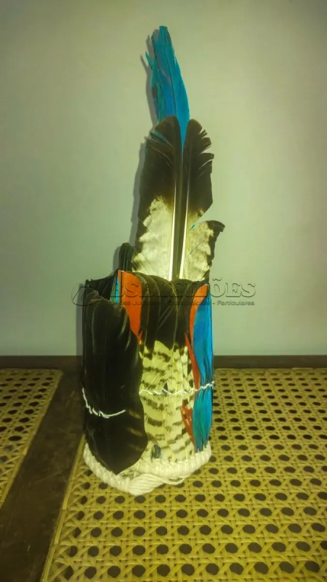 LOTE 018 - 01 LINDO COCÁ INDÍGENA ÍTEM DE ALDEIA ADQUIRIDO EM PERNAMBUCO PEÇA LINDA E COM PENAS NATURAIS NOVO SEM USO. (NO ESTADO) ATENÇÃO! FAZER A VISITAÇÃO ANTES DE ARREMATAR, NÃO SABEMOS SE FUNCIONA, LEILÃO NÃO TEM GARANTIA E NEM DEVOLUÇÃO, SUJEITO A POSSÍVEIS AVARIAS VISÍVEIS/OCULTAS E/OU AUSÊNCIA DE COMPONENTES.
