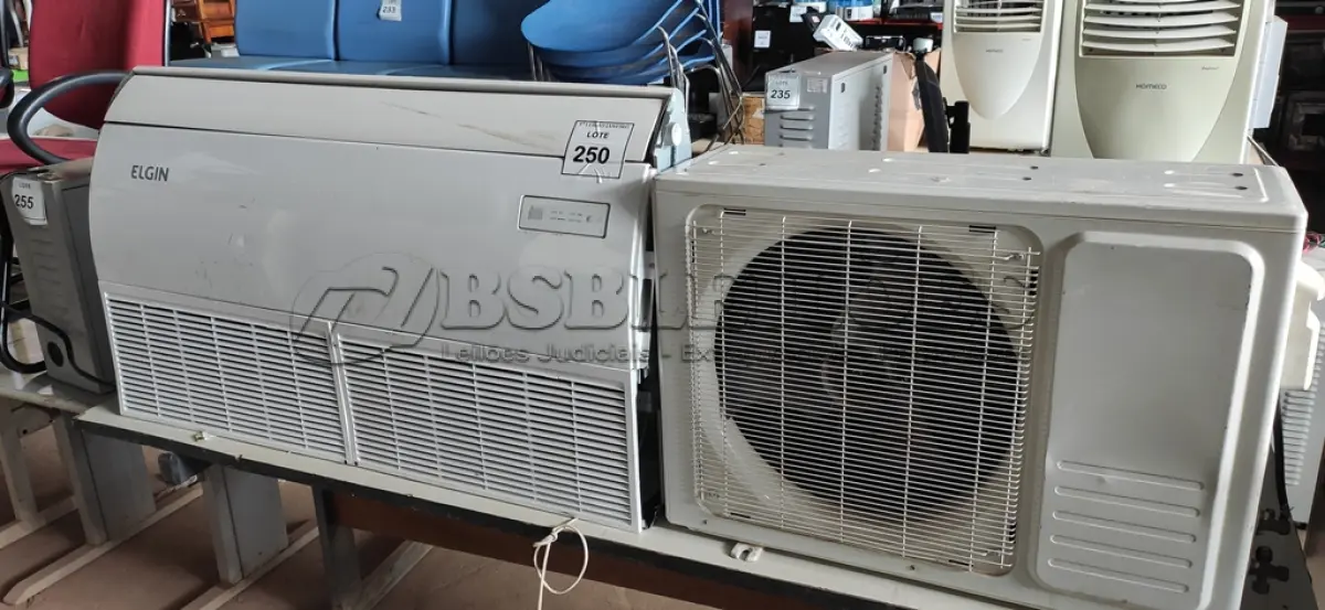 LOTE 250