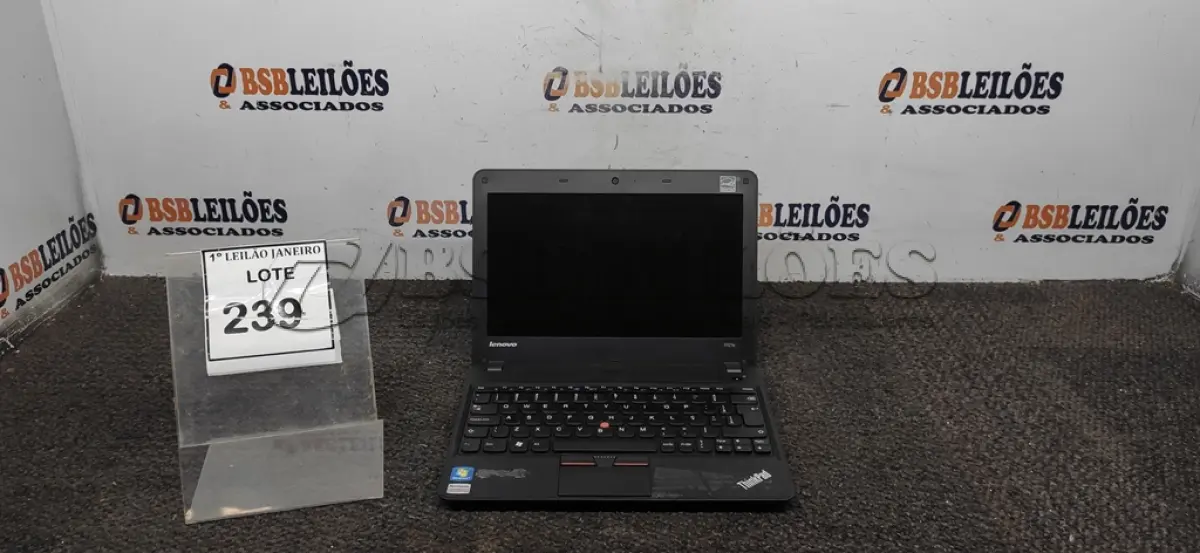 LOTE 239