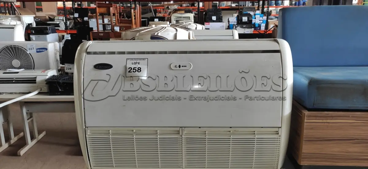 LOTE 258