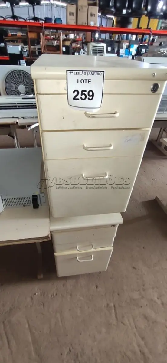 LOTE 259