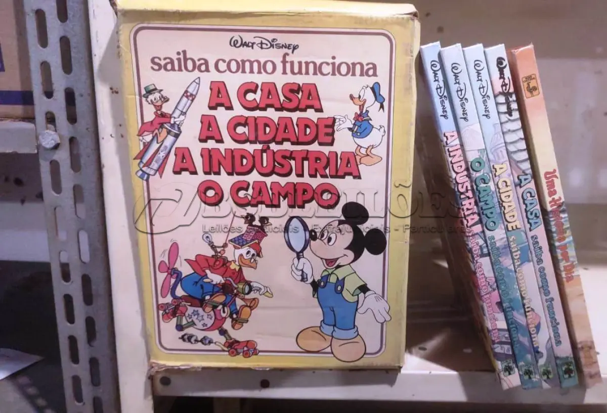 LOTE 495 - 01 COLEÇÃO SAIBA COMO FUNCIONA DA DISNEY. (NO ESTADO) ATENÇÃO! FAZER A VISITAÇÃO ANTES DE ARREMATAR, NÃO SABEMOS SE FUNCIONA, LEILÃO NÃO TEM GARANTIA E NEM DEVOLUÇÃO, SUJEITO A POSSÍVEIS AVARIAS VISÍVEIS/OCULTAS E/OU AUSÊNCIA DE COMPONENTES.