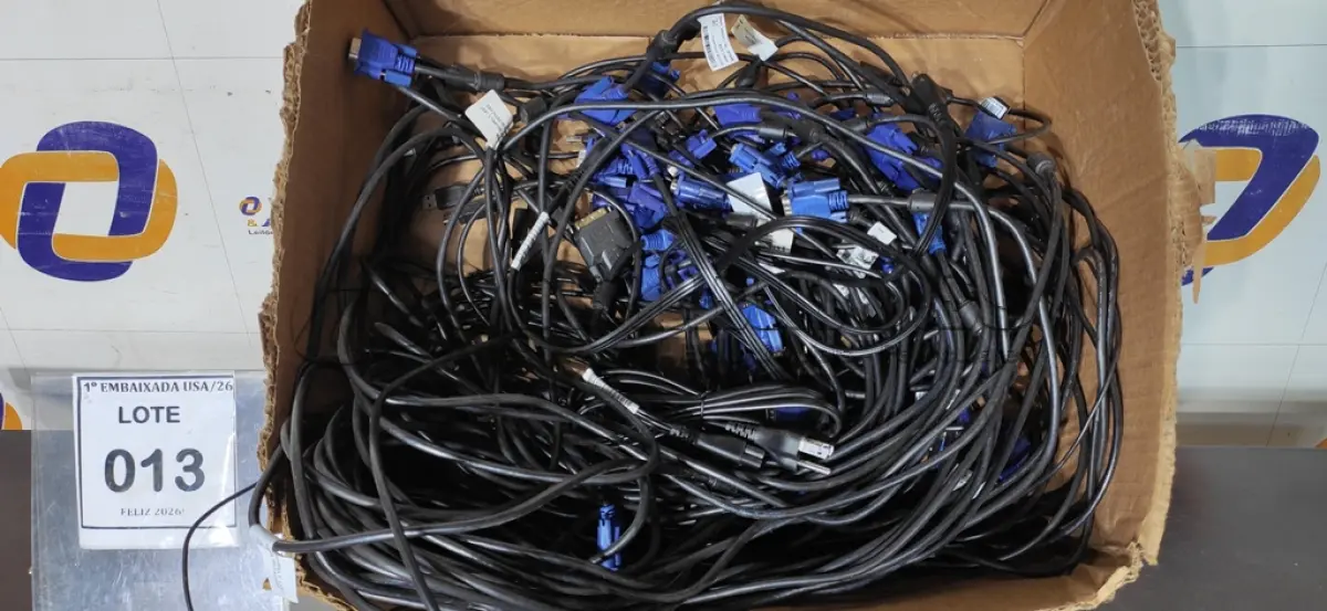 LOTE 013 - O1 CAIXA COM CABOS VGA PARA COMPUTADORES. (NO ESTADO EM QUE SE ENCONTRA. SUJEITO A AVARIAS OCULTAS/VISÍVEIS.)