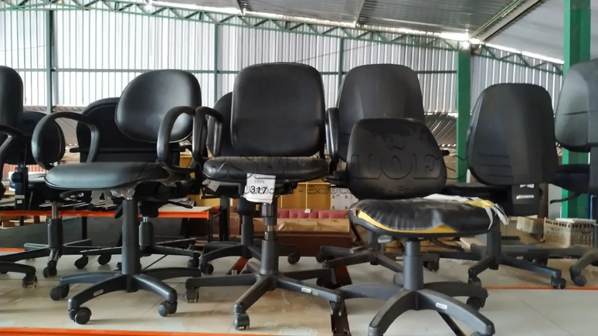 LOTE 317