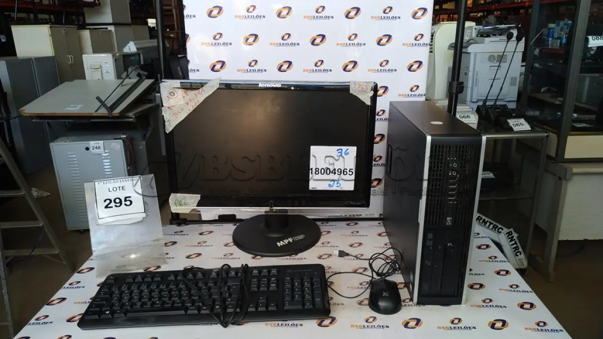 LOTE 295