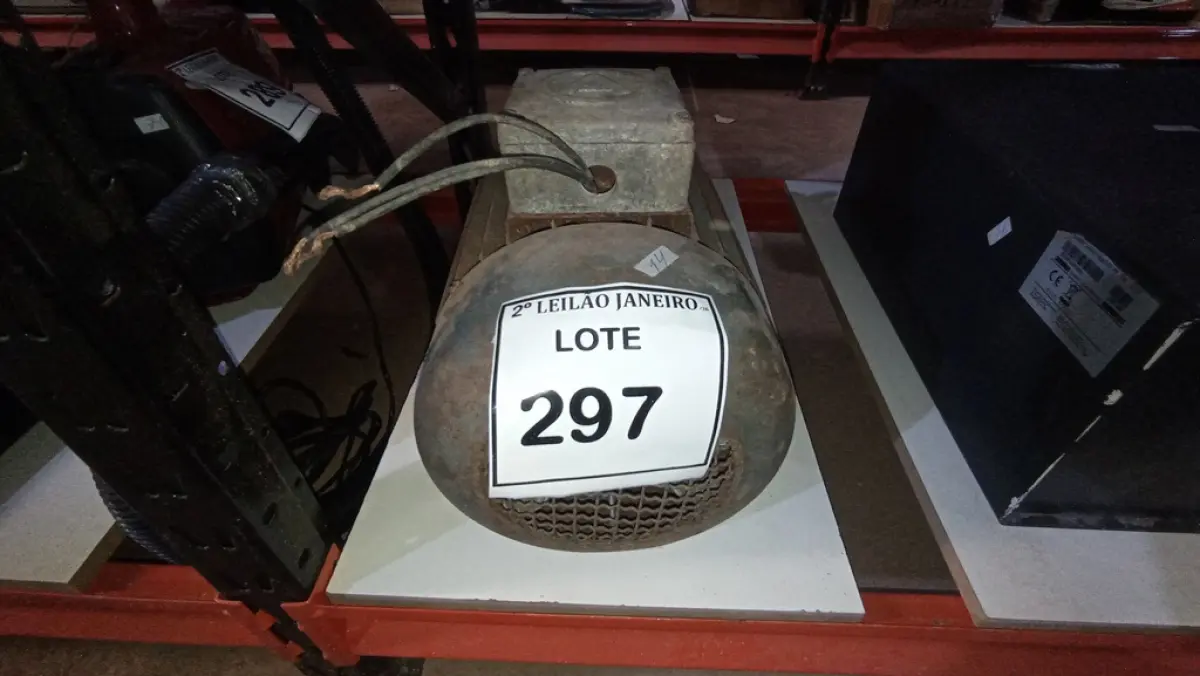 LOTE 297