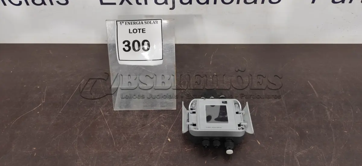 LOTE 300
