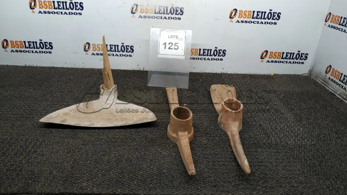 LOTE 125 - 02 PICARETAS E 01 ENXADA SEM CABO. (NO ESTADO) ATENÇÃO! FAZER A VISITAÇÃO ANTES DE ARREMATAR, NÃO SABEMOS SE FUNCIONA, LEILÃO NÃO TEM GARANTIA E NEM DEVOLUÇÃO, SUJEITO A POSSÍVEIS AVARIAS VISÍVEIS/OCULTAS E/OU AUSÊNCIA DE COMPONENTES.