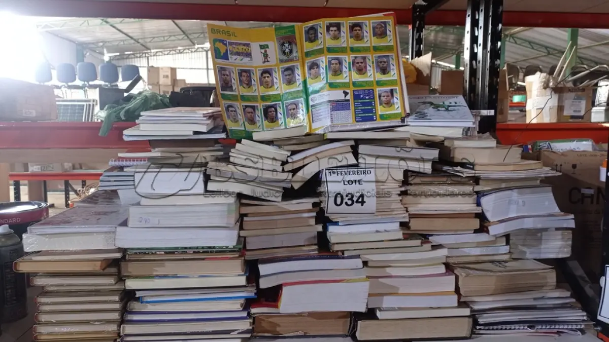 LOTE 034 - 01 ÁLBUM DE FIGURINHA DA COPA DO MUNDO DE 2006 COMPLETO E GRANDE QUANTIDADE DE LIVROS. (NO ESTADO) ATENÇÃO! FAZER A VISITAÇÃO ANTES DE ARREMATAR, NÃO SABEMOS SE FUNCIONA, LEILÃO NÃO TEM GARANTIA E NEM DEVOLUÇÃO, SUJEITO A POSSÍVEIS AVARIAS VISÍVEIS/OCULTAS E/OU AUSÊNCIA DE COMPONENTES.