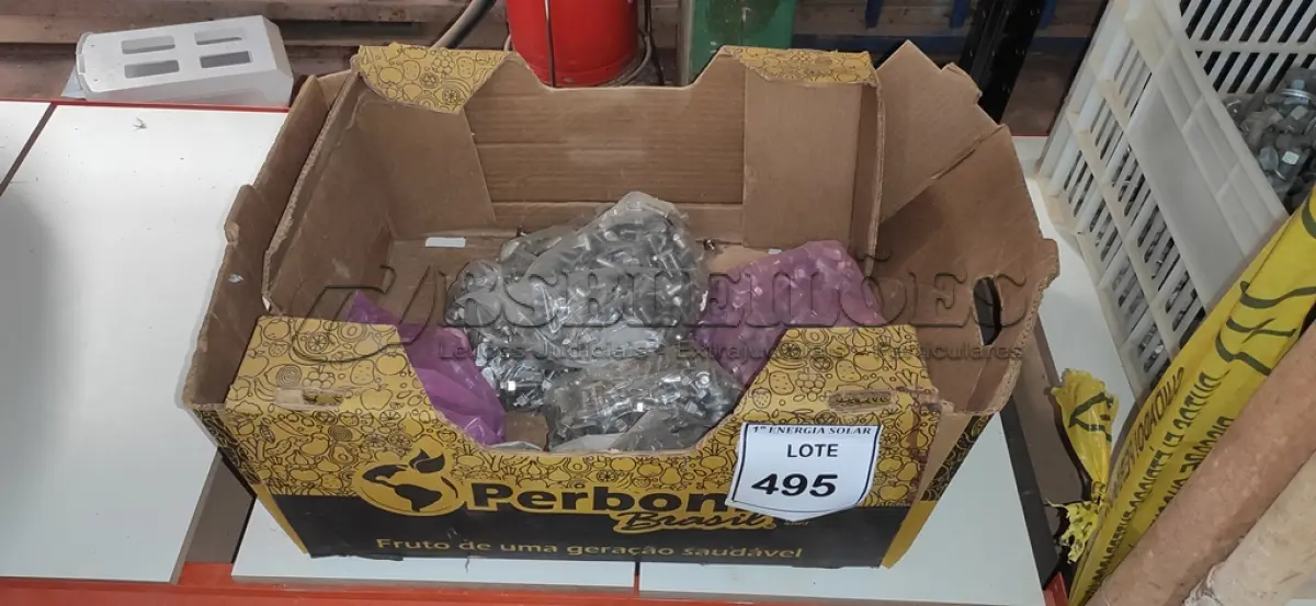 LOTE 495 - 01 LOTE COM PARAFUSOS CABEÇA DE MARTELO EM INOX. (NO ESTADO) ATENÇÃO! FAZER A VISITAÇÃO ANTES DE ARREMATAR, NÃO SABEMOS SE FUNCIONA, LEILÃO NÃO TEM GARANTIA E NEM DEVOLUÇÃO, SUJEITO A POSSÍVEIS AVARIAS VISÍVEIS/OCULTAS