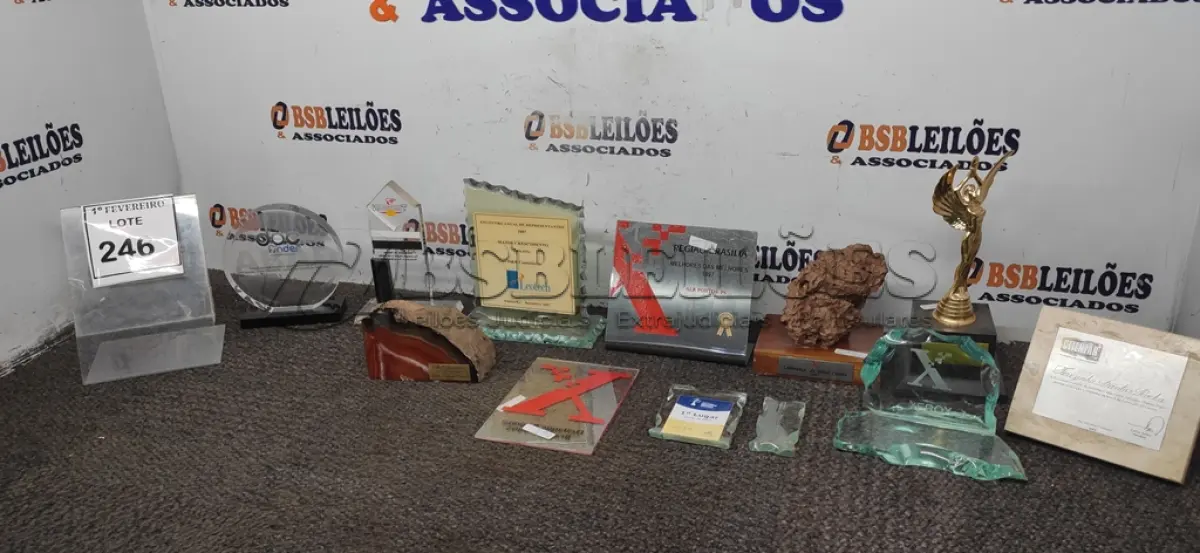 LOTE 246 - 01 LOTE COM VÁRIOS TROFÉUS E PLACAS COMEMORATIVAS. (NO ESTADO) ATENÇÃO! FAZER A VISITAÇÃO ANTES DE ARREMATAR, NÃO SABEMOS SE FUNCIONA, LEILÃO NÃO TEM GARANTIA E NEM DEVOLUÇÃO, SUJEITO A POSSÍVEIS AVARIAS VISÍVEIS/OCULTAS E/OU AUSÊNCIA DE COMPONENTES.