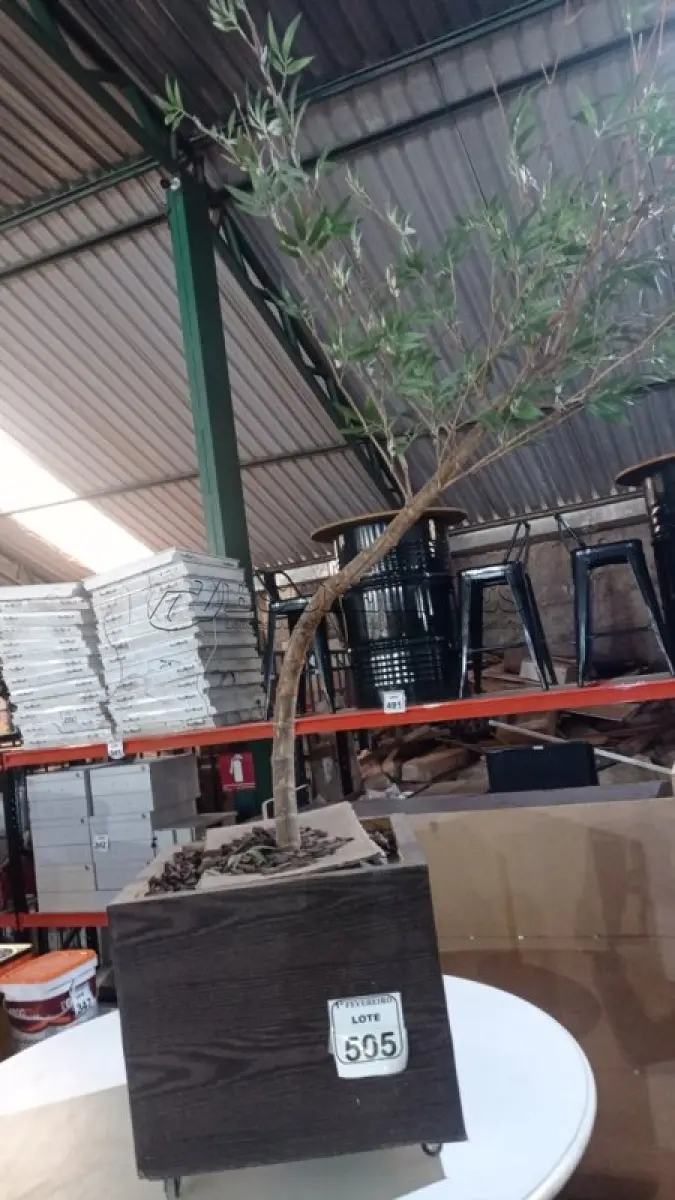 LOTE 505 - 01 PLANTA ARTIFICIAL EM 01 VASO DE MADEIRA COM RODINHAS. (NO ESTADO) ATENÇÃO! FAZER A VISITAÇÃO ANTES DE ARREMATAR, NÃO SABEMOS SE FUNCIONA, LEILÃO NÃO TEM GARANTIA E NEM DEVOLUÇÃO, SUJEITO A POSSÍVEIS AVARIAS VISÍVEIS/OCULTAS E/OU AUSÊNCIA DE COMPONENTES.