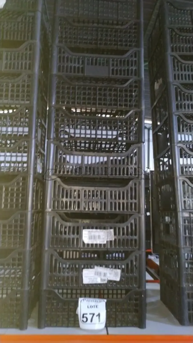 LOTE 571 - 10 CESTAS ORGANIZADORAS. (NO ESTADO) ATENÇÃO! FAZER A VISITAÇÃO ANTES DE ARREMATAR, NÃO SABEMOS SE FUNCIONA, LEILÃO NÃO TEM GARANTIA E NEM DEVOLUÇÃO, SUJEITO A POSSÍVEIS AVARIAS VISÍVEIS/OCULTAS E/OU AUSÊNCIA DE COMPONENTES.