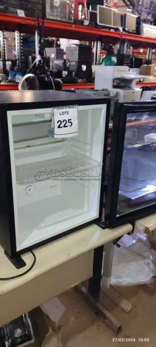 LOTE 225