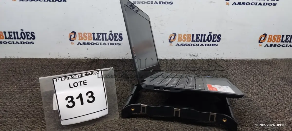 LOTE 313