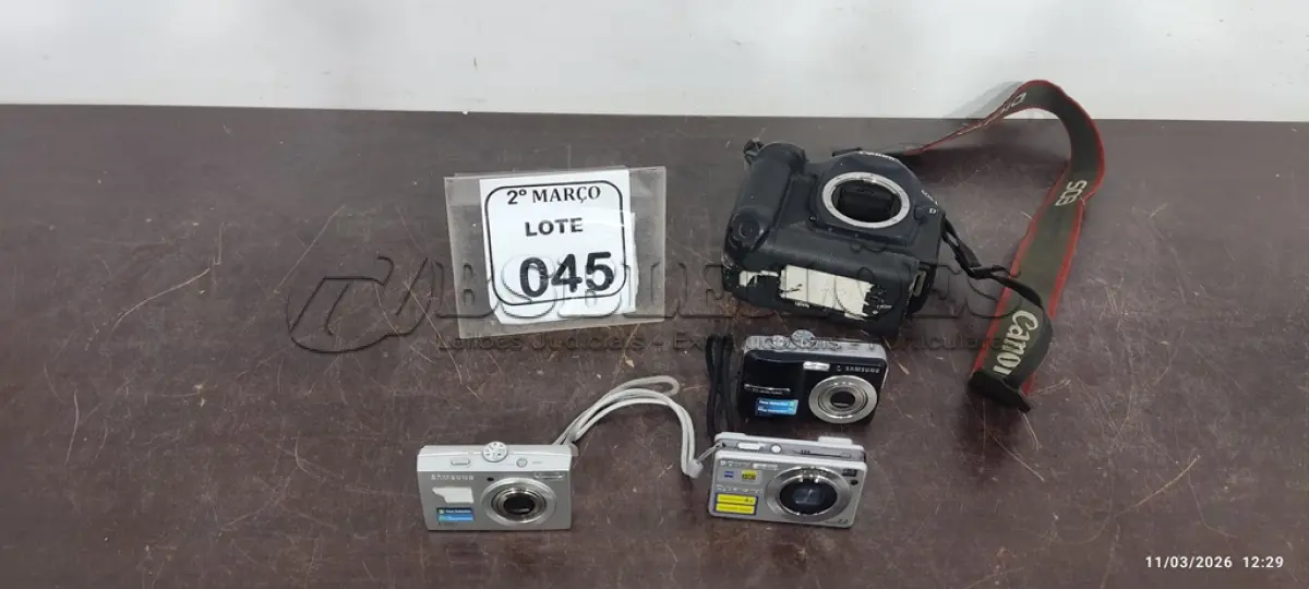LOTE 045