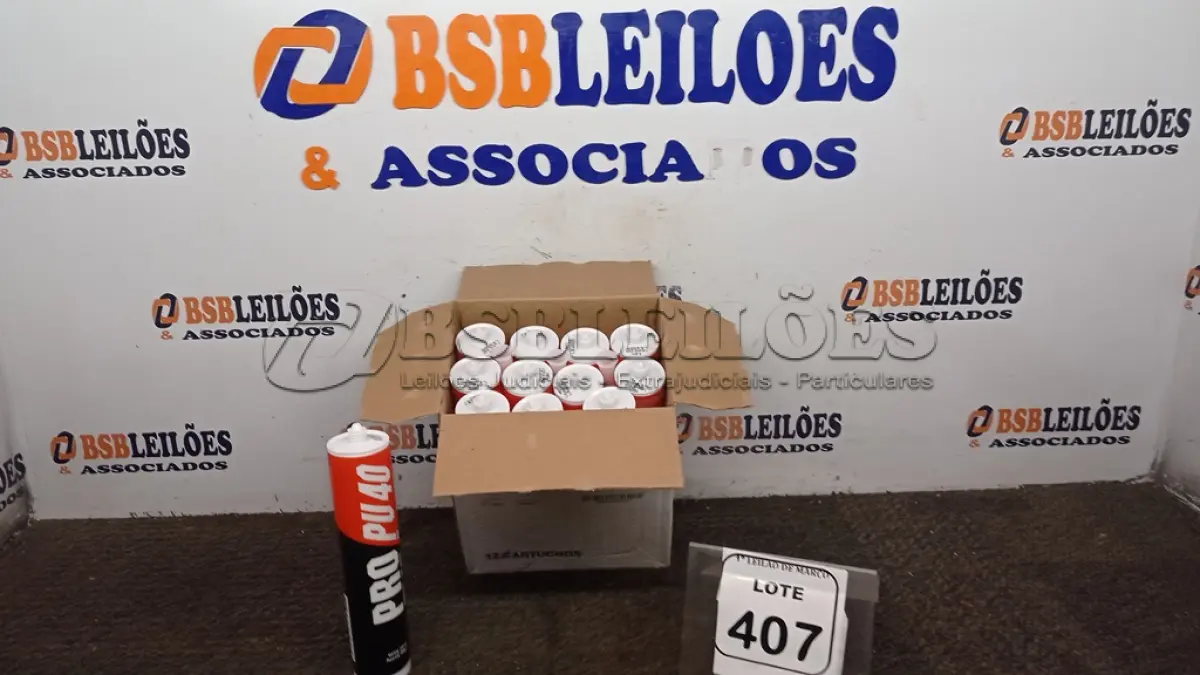 LOTE 407