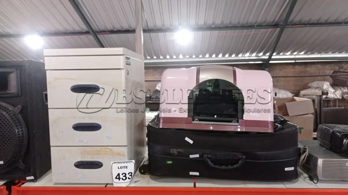 LOTE 433