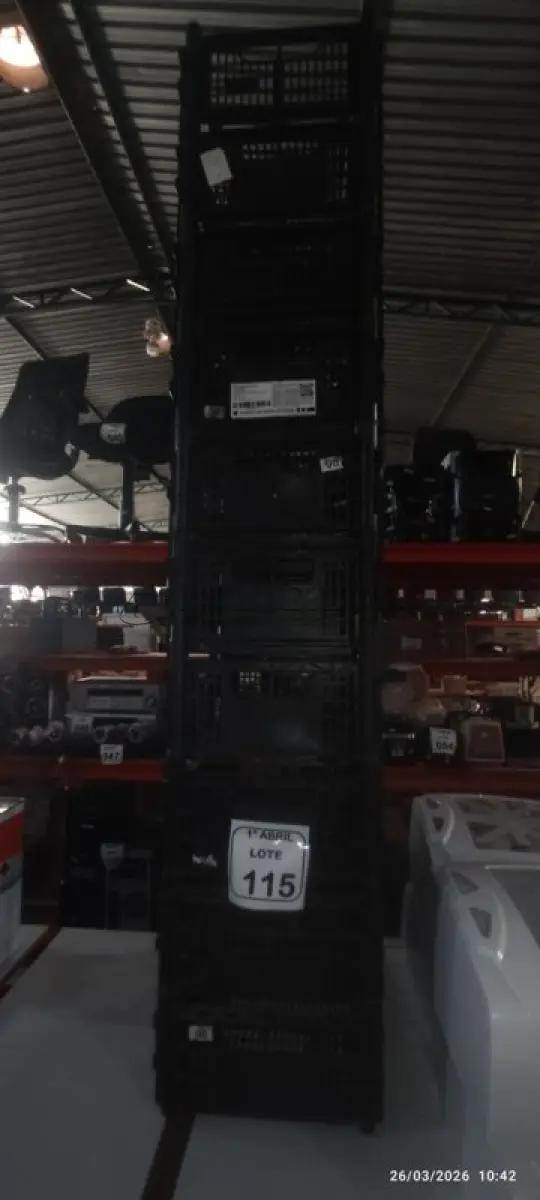 LOTE 115 - 10 CESTAS ORGANIZADORA. (NO ESTADO) ATENÇÃO! FAZER A VISITAÇÃO ANTES DE ARREMATAR, NÃO SABEMOS SE FUNCIONA, LEILÃO NÃO TEM GARANTIA E NEM DEVOLUÇÃO, SUJEITO A POSSÍVEIS AVARIAS VISÍVEIS/OCULTAS E/OU AUSÊNCIA DE COMPONENTES.