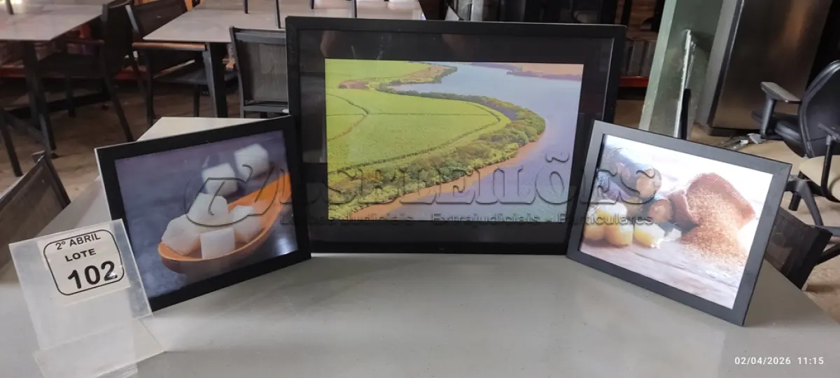 LOTE 102 - 03 QUADROS PEQUENOS DECORATIVOS. (NO ESTADO) ATENÇÃO! FAZER A VISITAÇÃO ANTES DE ARREMATAR, NÃO SABEMOS SE FUNCIONA, LEILÃO NÃO TEM GARANTIA E NEM DEVOLUÇÃO, SUJEITO A POSSÍVEIS AVARIAS VISÍVEIS/OCULTAS E/OU AUSÊNCIA DE COMPONENTES.