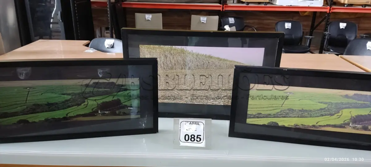 LOTE 085 - 02 QUADROS PEQUENOS DECORATIVOS. (NO ESTADO) ATENÇÃO! FAZER A VISITAÇÃO ANTES DE ARREMATAR, NÃO SABEMOS SE FUNCIONA, LEILÃO NÃO TEM GARANTIA E NEM DEVOLUÇÃO, SUJEITO A POSSÍVEIS AVARIAS VISÍVEIS/OCULTAS E/OU AUSÊNCIA DE COMPONENTES.