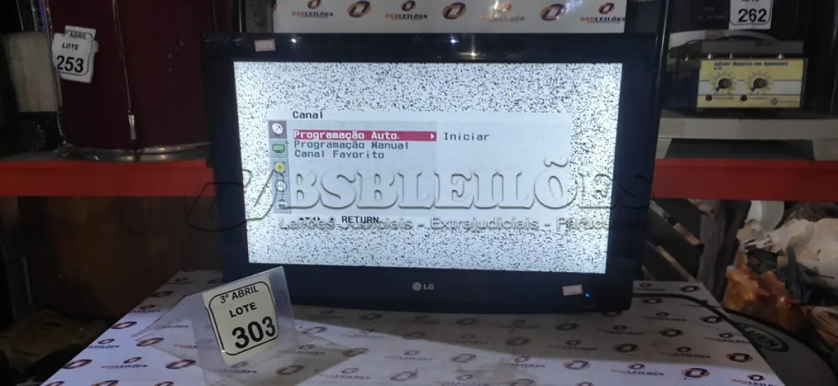 LOTE 303