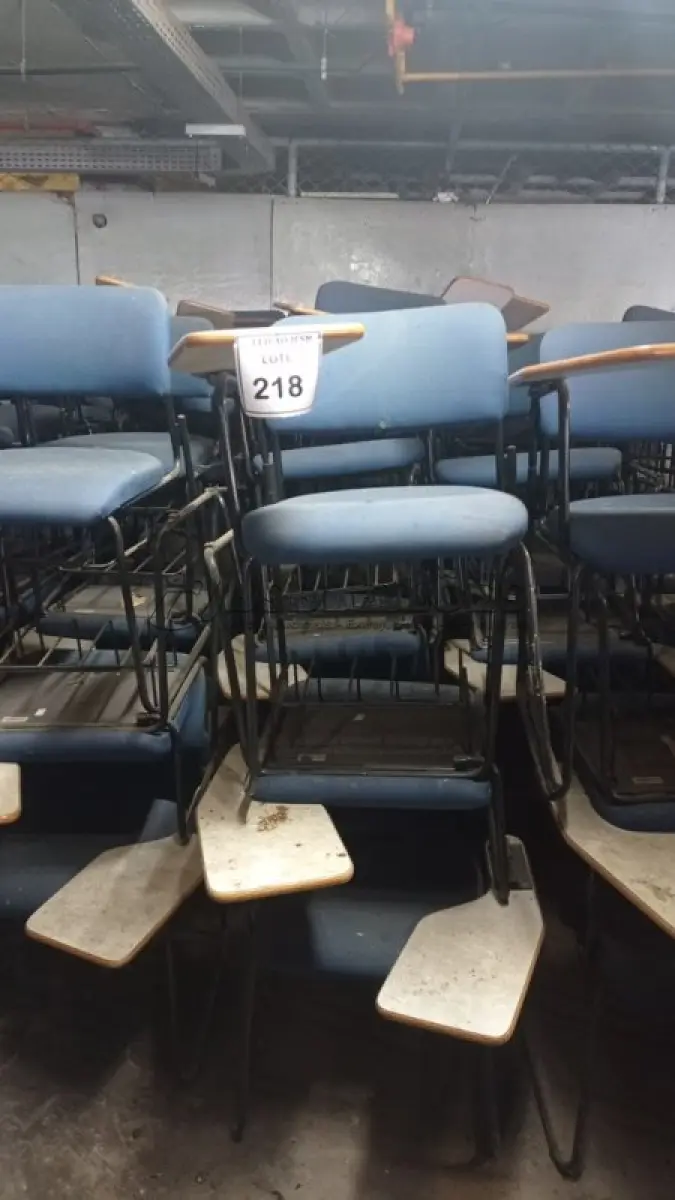 LOTE 218 - 15 CADEIRAS UNIVERSITÁRIA. (NO ESTADO) ATENÇÃO! FAZER A VISITAÇÃO ANTES DE ARREMATAR, NÃO SABEMOS SE FUNCIONA, LEILÃO NÃO TEM GARANTIA E NEM DEVOLUÇÃO, SUJEITO A POSSÍVEIS AVARIAS VISÍVEIS/OCULTAS E/OU AUSÊNCIA DE COMPONENTES.