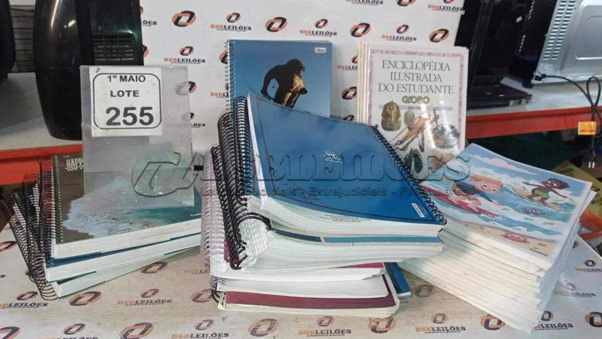 LOTE 255 - 01 LOTE COM VÁRIOS CADERNOS ESCOLARES DE MARCAS E TAMANHOS DIVERSOS. (NO ESTADO) ATENÇÃO! FAZER A VISITAÇÃO ANTES DE ARREMATAR, NÃO SABEMOS SE FUNCIONA, LEILÃO NÃO TEM GARANTIA E NEM DEVOLUÇÃO, SUJEITO A POSSÍVEIS AVARIAS VISÍVEIS/OCULTAS E/OU AUSÊNCIA DE COMPONENTES.